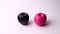 Two apples isolated on a white background. Pink and black apple, strange and funny shot.