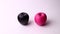 Two apples isolated on a white background. Pink and black apple, strange and funny shot.