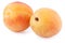 Two apricots isolated cutout