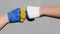 Two arms painted in colors of flags Ukraine russia, two fists ,consept of battle for Ukrainian independence,war 2022 in