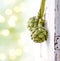 Two artichokes hanging from a vintage door