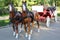 Two artificial sledge of horses harnessed wagon