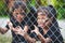 Two asian child girls wearing halloween costumes and makeup holding steel mesh and  having fun on Halloween celebration