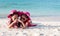 Two asian child girls wearing pink hat and sunglasses playing with sand and making hand heart shape together on the beach