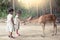 Two asian little girls feeding deer