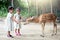 Two asian little girls feeding deer