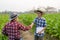 Two asian male gardeners holding tablets hand in hand in tobacco plantation. Agricultural Research Concepts