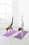 Two athletic females training abdominal muscles together, woman doing leg raises on the mat. Healthy lifestyle