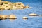 Two Australian wood ducks swimming near Lake Jindabyne\'s foreshore