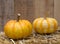 Two Autumn Gourds