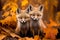 Two baby foxes sitting in fall leaves