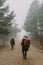 Two backpackers go down a path between trees and fog