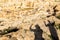 Two backpackers tourists friends shadows on desert ground.