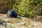 Two backpacks on a ground in a coniferous forest