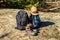 Two backpacks, touristic boots and hat on a ground in a coniferous forest