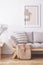 Two bags on the floor of stylish apartment with grey couch and framed print on the wall