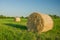 Two bales of hay lying on a sunlit meadow, trees and clear sky