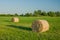 Two bales of hay on a sunlit meadow, trees and clear sky