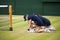 Two ball girls at Wimbledon