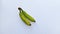Two Banana image, Green Banana image, Background, Selective Focus