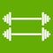 Two barbells icon green