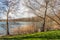 Two bare trees on the edge of a lake