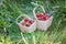 Two baskets full of strawberries. Pick your own farm.