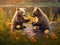 Two bear cubs play together