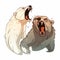 Two bears brown and white growl at each other baring their fangs, funny illustration,