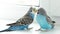 Two beautiful budgerigars. Love between parrots. Bright birds. Pets