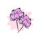 Two beautiful flowers illustration. purple flower with pink color paint spattered. hand drawn vector. fresh and beauty. doodle art