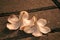 Two Beautiful frangipani flowers, sadness mood, Closeup falling on stone garden in the morning