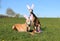 Two beautiful galgos are lying and sitting in the garden with funny bunny ears on the head and colorful easter eggs in the front