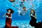 Two beautiful girls in a red and Burgundy dress and a guy in a white shirt swim and play underwater in the pool. They hold white c