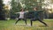 Two beautiful girls yoga teacher and student are practising sequence of asanas in park standing on mats and moving body