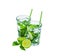 Two beautiful glasses with mojito and tubules