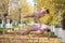 Two beautiful gymnasts do pair tricks on a portable platform in a beautiful autumn park. Two friends in the same body