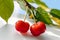 Two beautiful juicy cherry berries on twig with 1690446685231 4