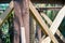 Two beautiful lizards basking in the sun on a wooden gazebo on a hot summer day