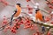 Two beautiful male bullfinches sitting on a winter branch of a mountain ash tree. Generative AI