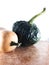 two beautiful pumpkins with white background.  seasonal vegetables