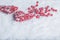 Two beautiful romantic vintage red hearts with mistletoe berries on white snow. Christmas, love and St. Valentines Day concept