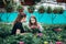 Two beautiful Slovenian girls in a greenhouse discussing seedlings of colorful flowers. Shopping. Ecology