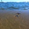 Two beautiful starfish with a Seaview and boats on the horizon