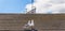 Two beautiful white birds, gulls on the roof of the seaside village, the blue sky