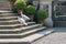 Two beautiful white peacocks climb the stairs of the ancient Borromeo palace on Isola Bella, Italy