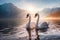 Two beautiful white swans swim on a mountain lake on a foggy morning at dawn
