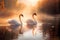 Two beautiful white swans swim on a mountain lake on a foggy morning at dawn