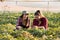 Two beautiful and young farmer girls examining crop of soy bean