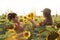 Two beautiful and young farmer girls examining crop of sunflower